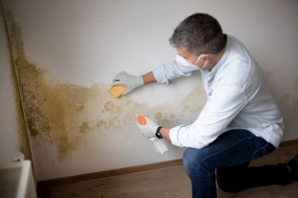 Best HVAC Mold Inspection and Cleaning  in Mountville, PA