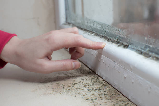 Best Real Estate Mold Inspection  in Mountville, PA